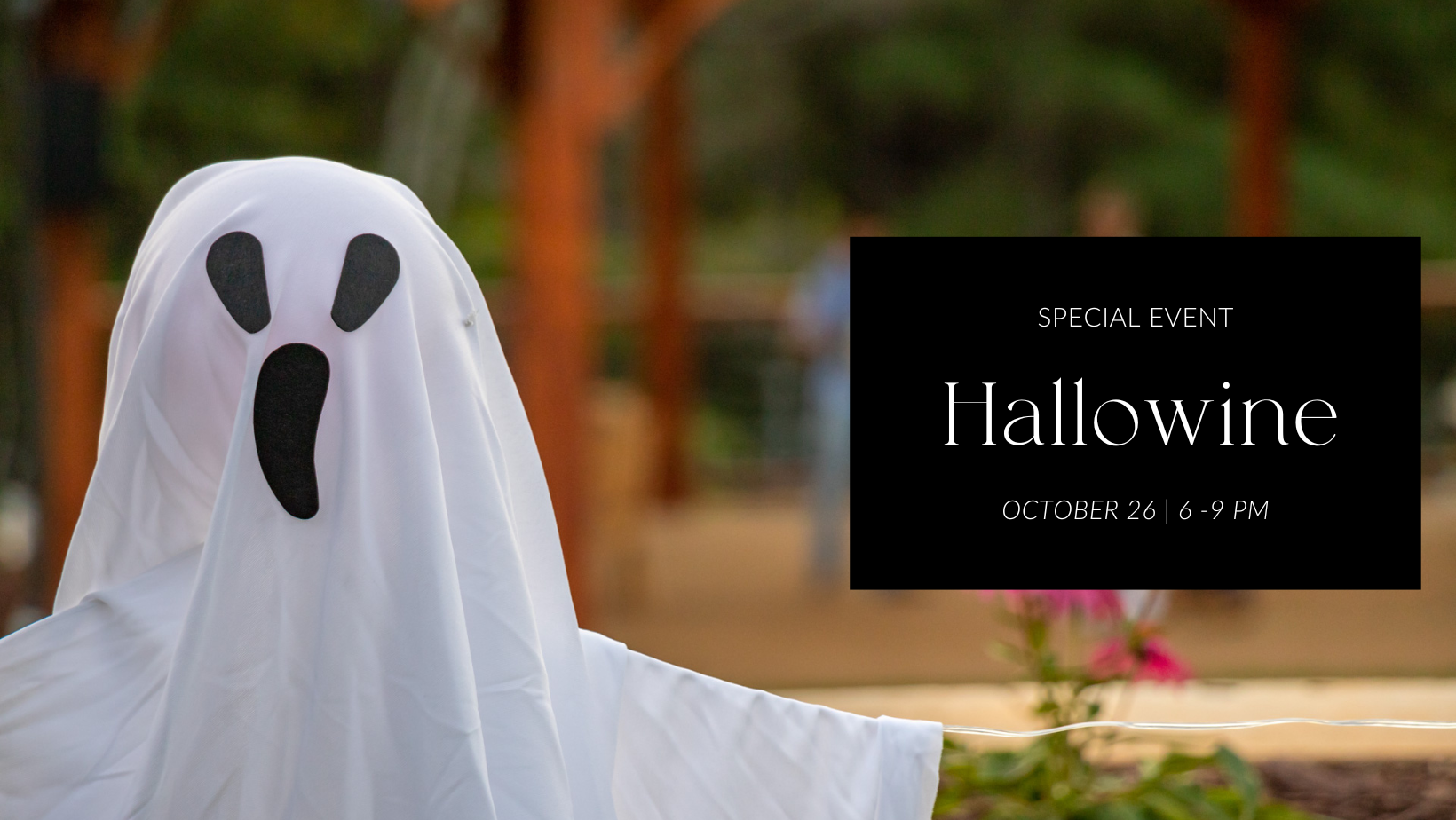 Hallo Wine Mountain Brook Vineyards hallo-wine-mountain-brook-vineyards