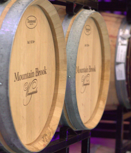 How Wines Are Made: Barrel Tasting