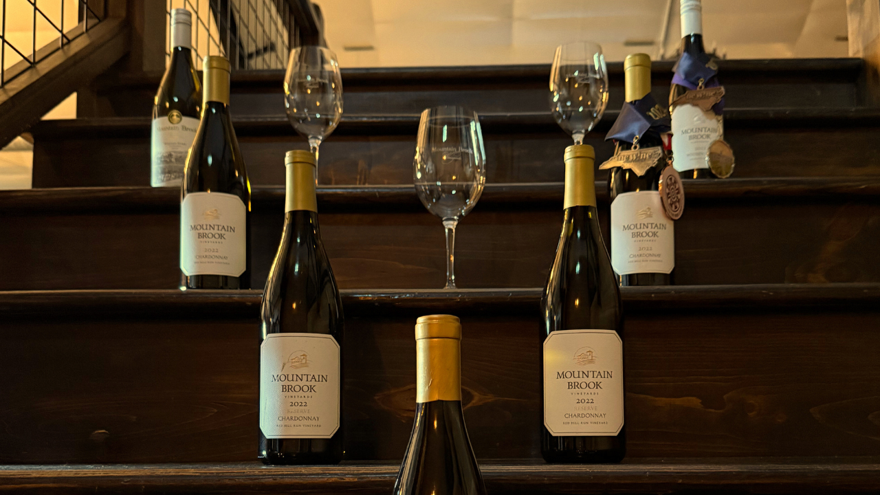 Vertical Wine Tasting