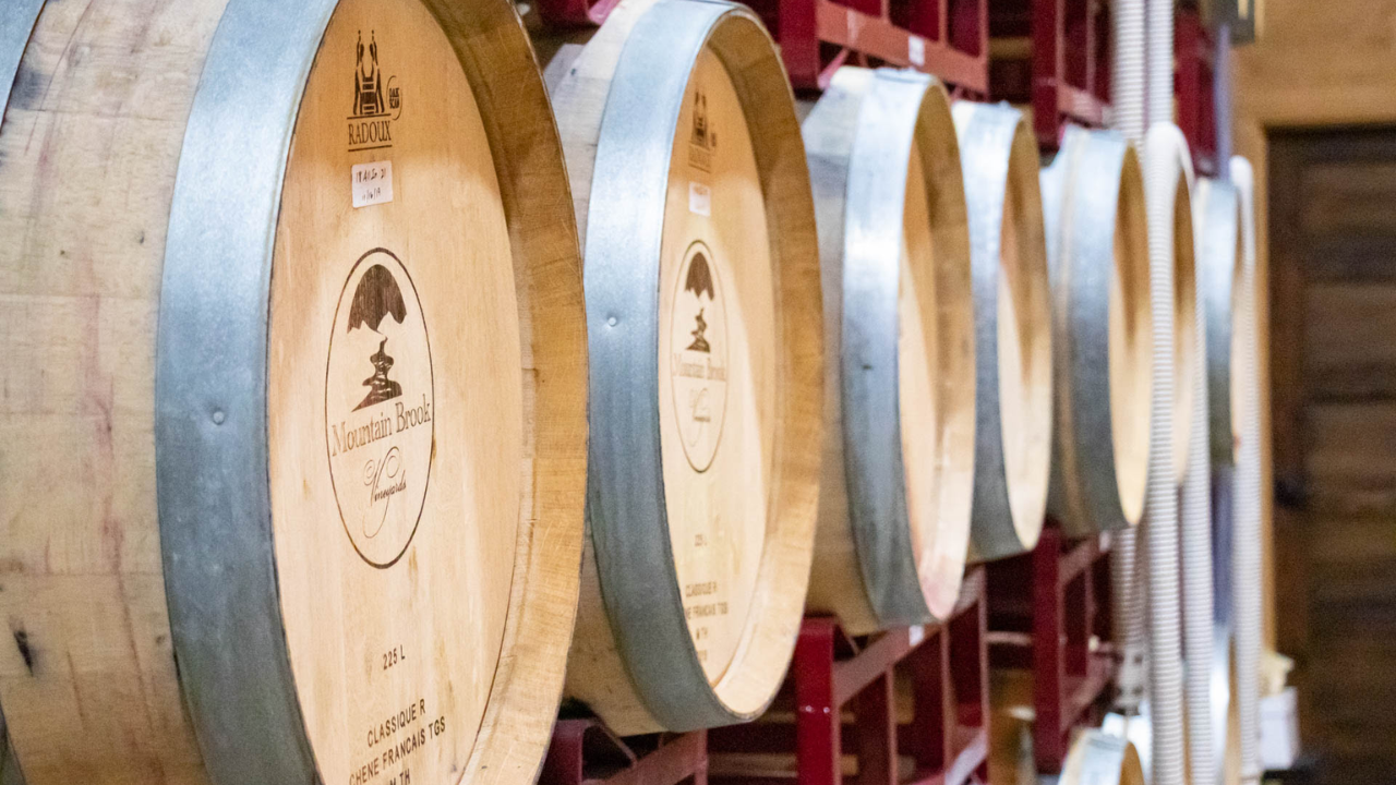 Freshly Harvested Barrel Tasting with the Winemaker